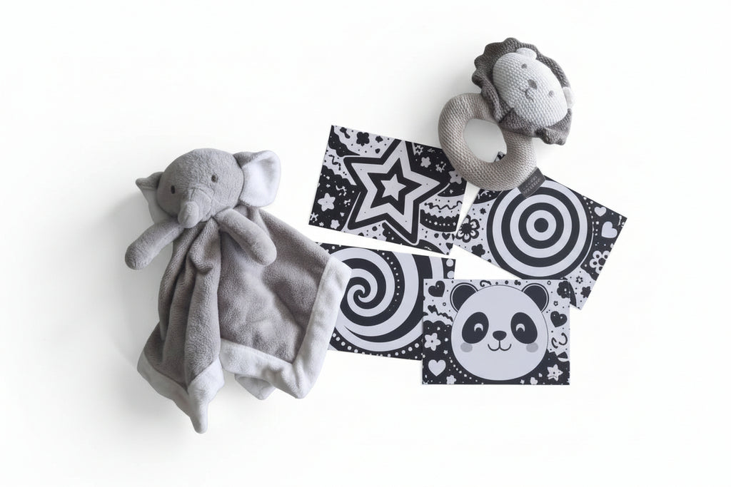 Set of Baby Sensory Flash Cards