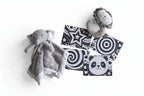 Set of Baby Sensory Flash Cards